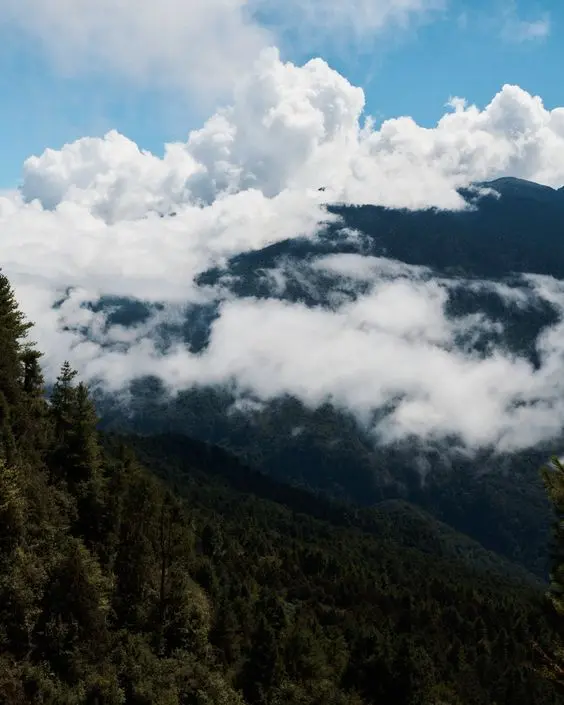 bhutan tour guide