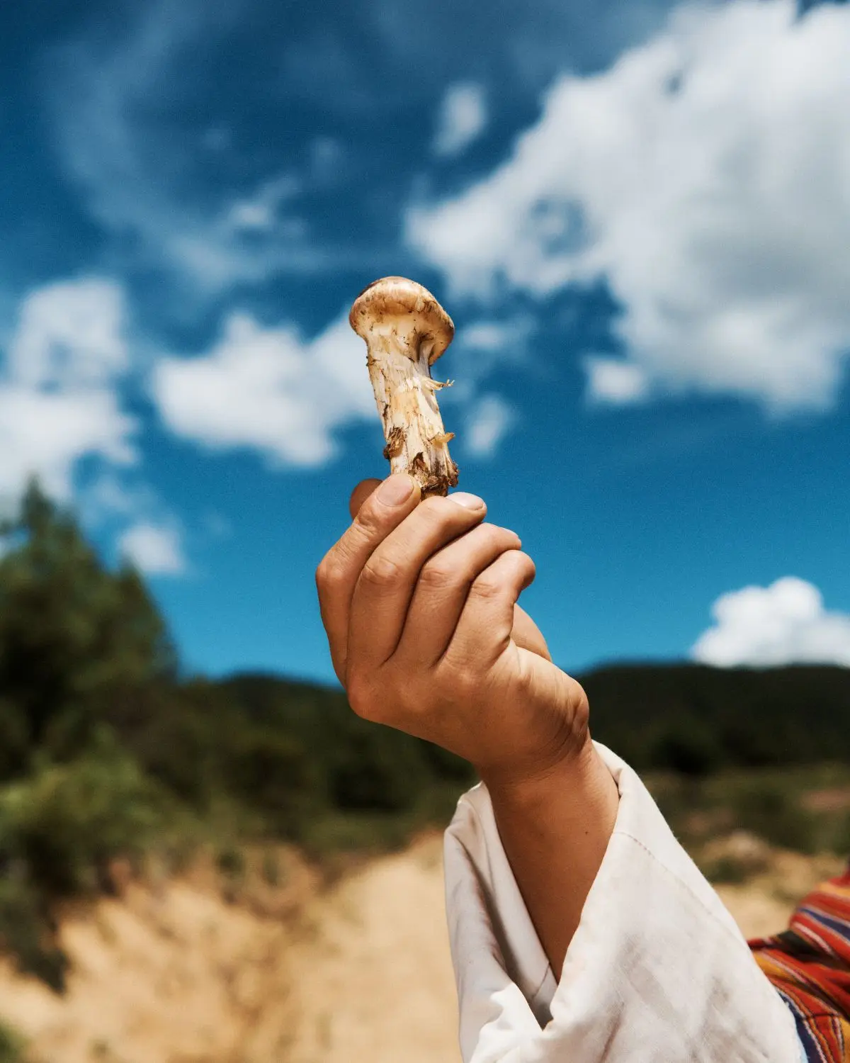 tourist guide in bhutan