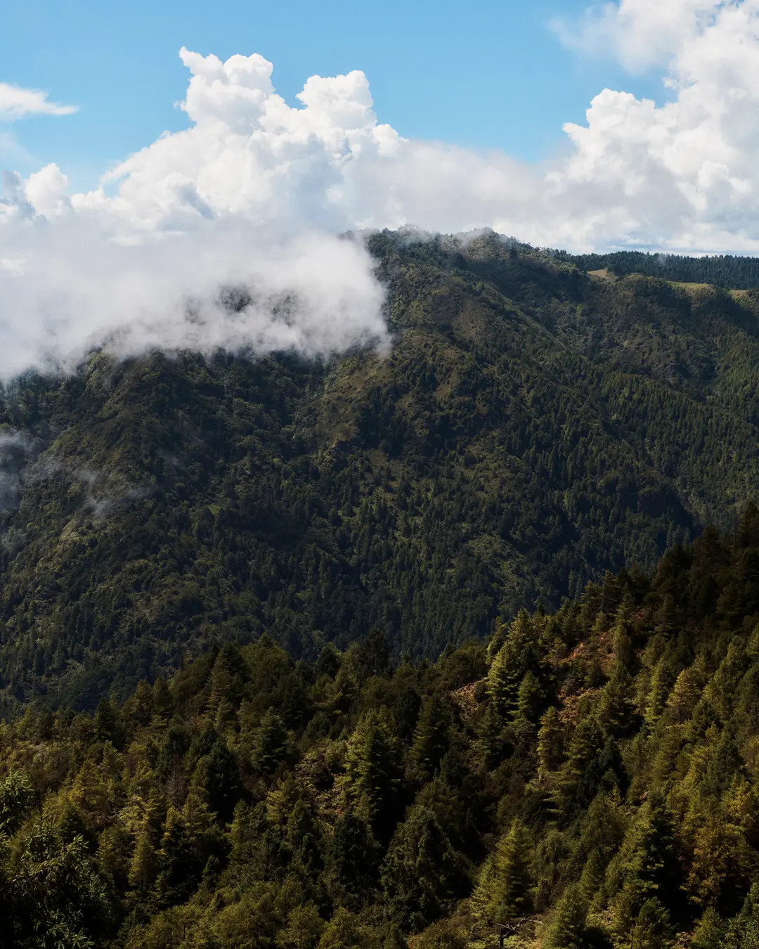 Latest News | Bhutan Travel